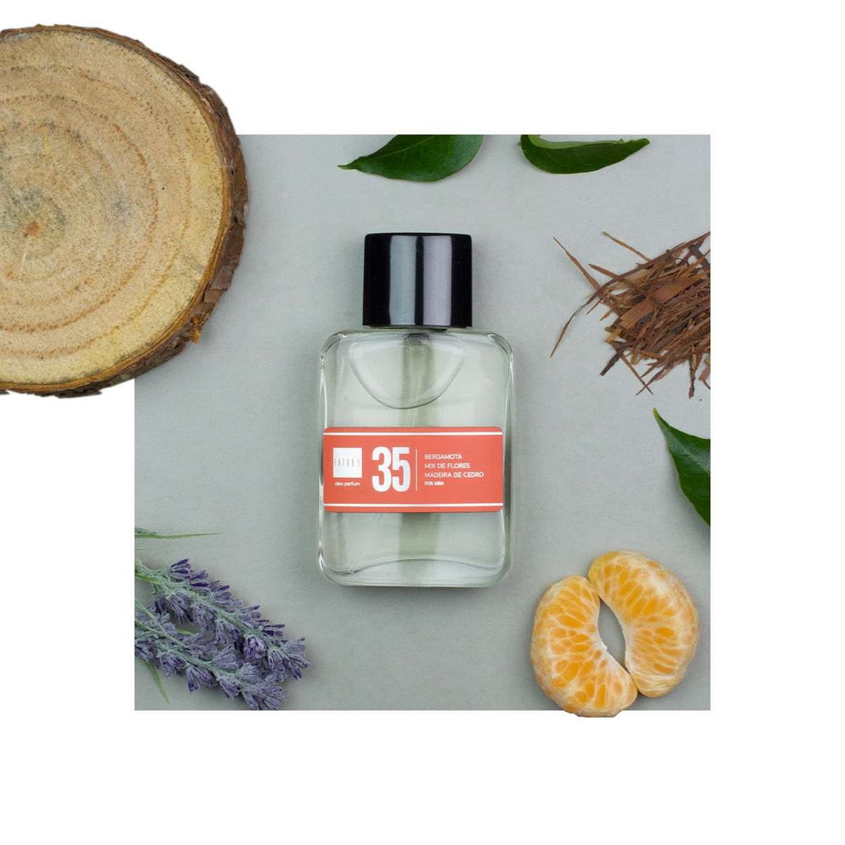 Fahrenheit - Dior Dupe: Perfume 35 - Fator 5 Fahrenheit - Dior Dupe: Perfume 35 - Fator 5